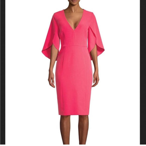 Jana Flutter-Sleeve Sheath - Picture 1 of 5